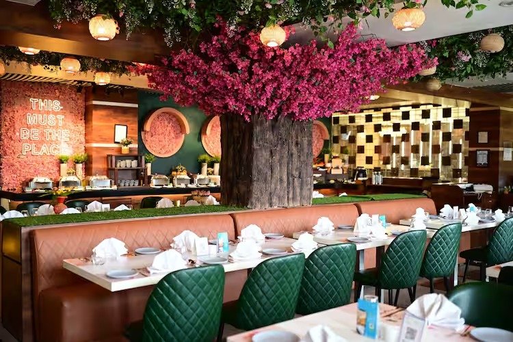 Zedd Kitchen Kolkata: A Stylish Spot for Asian Comfort Food